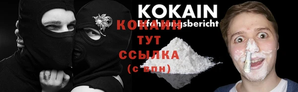 ГАЛЛЮЦИНОГЕННЫЕ ГРИБЫ Беломорск