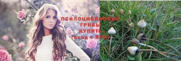соль ск Белоозёрский