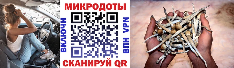 OMG сайт  Торопец  маркетплейс официальный сайт  Псилоцибиновые грибы GOLDEN TEACHER 
